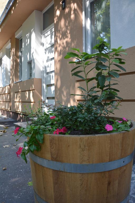 Bodza Apartmanok Eger Exteriör bild